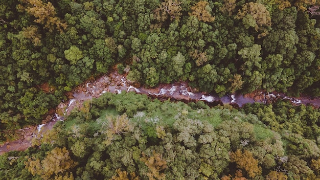Aerial view of a lush green Amazon rainforest with a winding river cutting through it, emphasizing the importance of environmental preservation in Brazil.