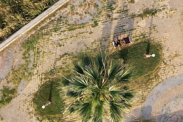 Aerial shot of a modern sugarcane processing plant in São Paulo, Brazil, with fields of sugarcane stretching into the horizon, illustrating the industrial aspect of agribusiness and its role in bioenergy production.