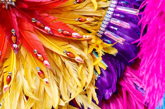 Close-up of an elaborate Carnival costume in Rio de Janeiro, Brazil, highlighting the intricate details, feathers, and vibrant colors.