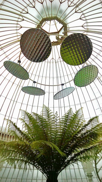 4 Tendências da Arquitetura Brasileira: Cultura e Sustentabilidade