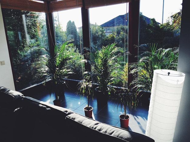 An open-concept Brazilian home with large windows overlooking a lush garden, featuring native plants and a water feature that promotes natural light and ventilation.