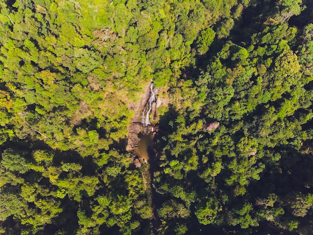 Drone shot of the Amazon river cutting through the lush green rainforest, highlighting the indigenous connection and preserving ancient languages.