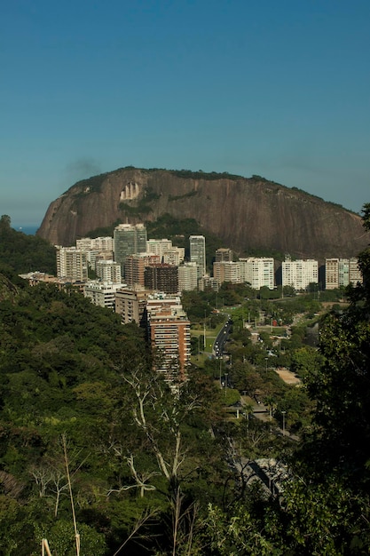 A panoramic view of São Paulo, showcasing its modern skyscrapers and bustling urban life, contrasting with the stereotypical image of beaches and rainforests.