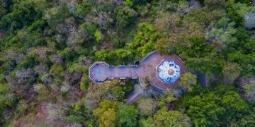 Descubra a Maior Floresta Urbana do Mundo no Brasil: Um Tesouro Escondido - Cover Image