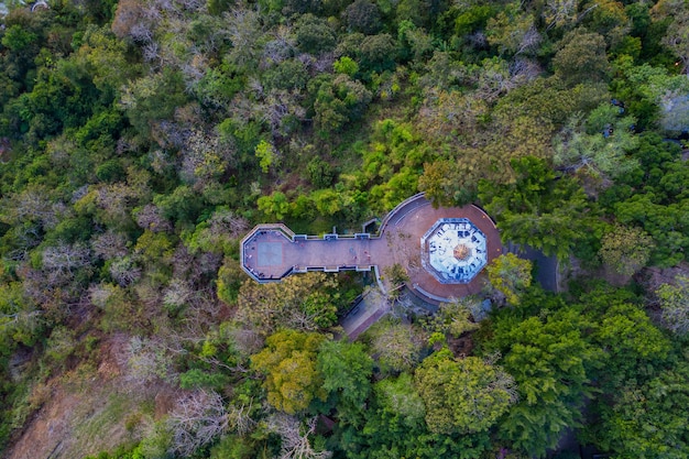 Descubra a Maior Floresta Urbana do Mundo no Brasil: Um Tesouro Escondido
