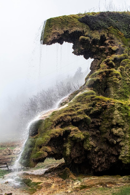 A serene waterfall cascading down moss-covered rocks within the Pedra Branca State Park, surrounded by dense vegetation and lush green trees, highlighting the natural beauty and tranquility of the forest.