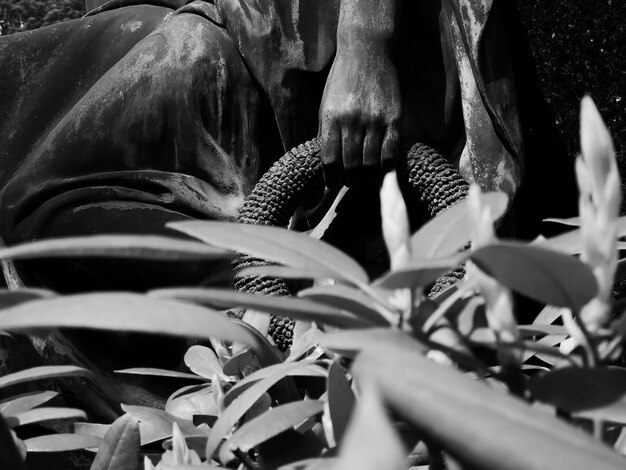 A black and white photograph of enslaved Africans working on a Brazilian sugar plantation in the 19th century, showcasing their resilience and cultural preservation efforts.