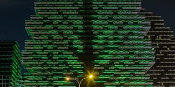 Inovadores Brasileiros: Personalidades que Transformam a Tecnologia no Brasil - Cover Image
