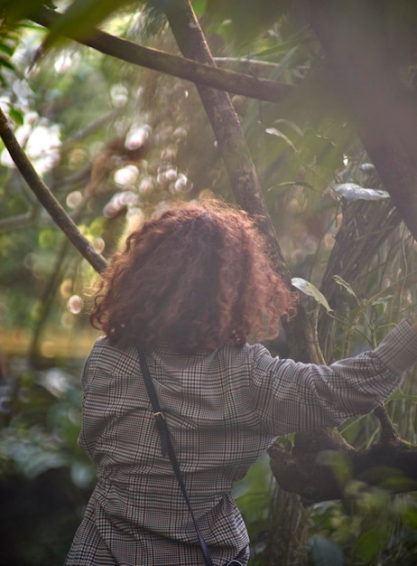 A solitary Brazilian human rights defender standing amidst a deforested area in the Amazon rainforest, symbolizing the environmental and human rights struggles in the region.