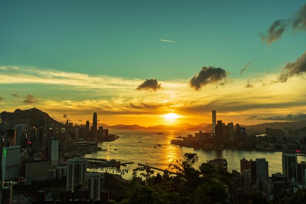 [Nome de Personalidade Brasileira]: Resiliência e Superação no Mercado Atual